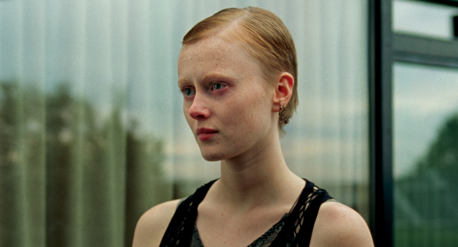 Wenn das Licht zerbricht - Image 4